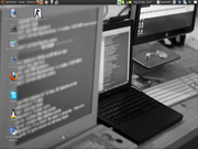 Gnome Screen-Ubuntu-10.04